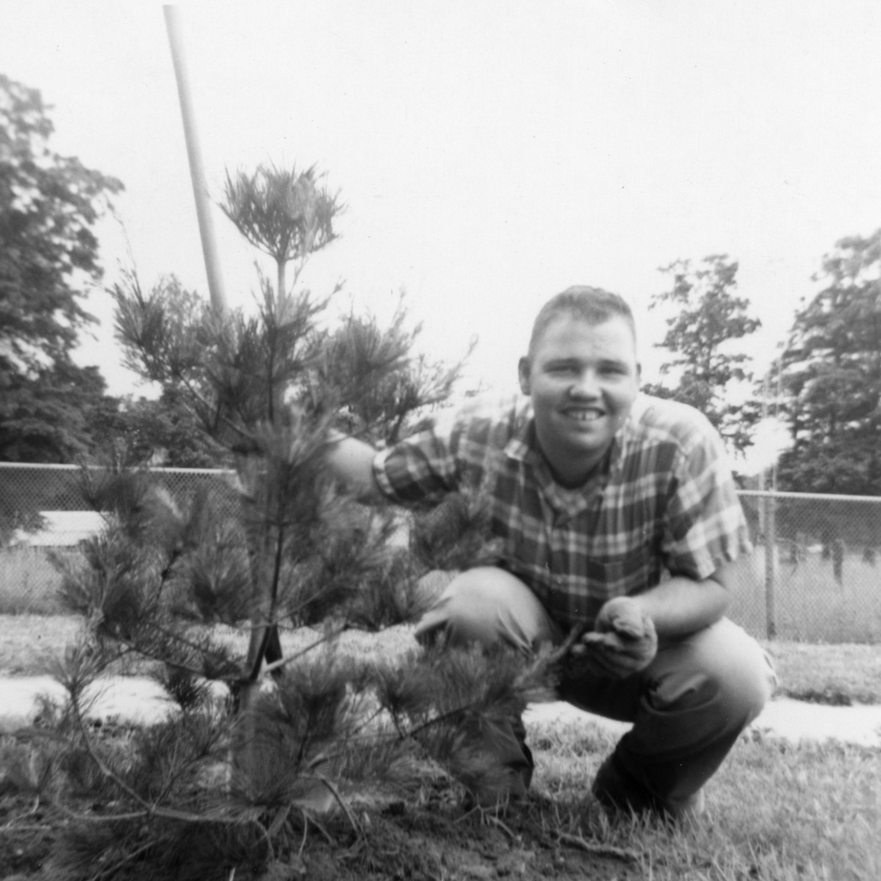 Black and white photo, taken in the 1960s, of a smiling man crouching next to a small tree in an outdoor environment.