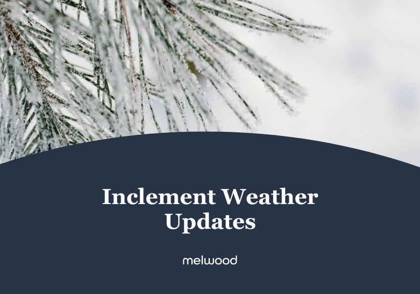 Image of snow on a tree that says weather updates below.